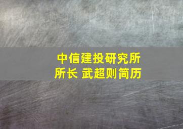 中信建投研究所所长 武超则简历